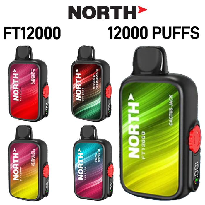 North FT12000 5% Nic Disposable - MyVpro