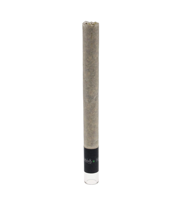 Beamer King Size Glass-Tipped Organic Pre-Rolled Cones - 3Ct Packs