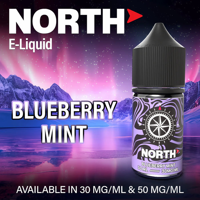 Blueberry Mint - North Salt E-Liquid 30mL