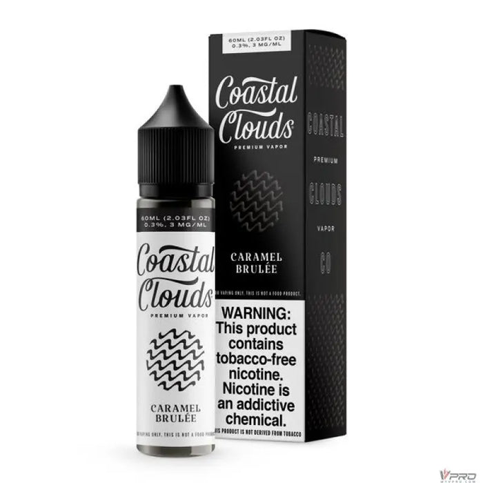 Coastal Clouds Premium Vapor Synthetic Nicotine E-Liquid 60ML  (Totally 6 Flavors) COASTAL CLOUDS CO