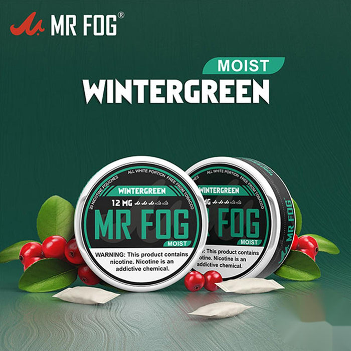 Moist Wintergreen – Mr Fog Nicotine Pouches