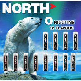 how much is elf bar vape North 5000 Puffs Disposable Vape 3% Nicotine | Rechargeable main image 1