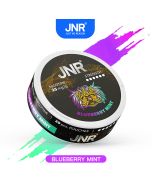 Blueberry Mint - JNR Nicotine Pouches