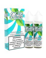 Wintergreen - Mints Synthetic 120mL