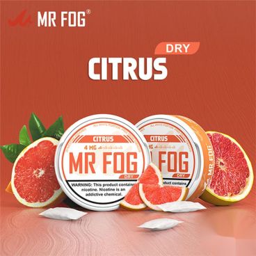 Dry Citrus – Mr Fog Nicotine Pouches