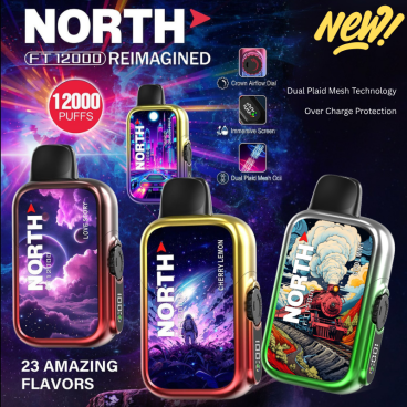 North FT12000 5% Nic Disposable