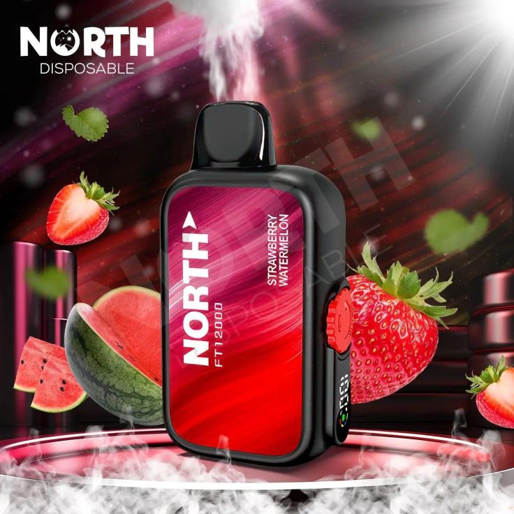 healthiest disposable vape Discover North FT12000 Zero Nic Disposable